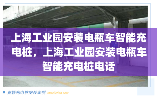上海工业园安装电瓶车智能充电桩，上海工业园安装电瓶车智能充电桩电话