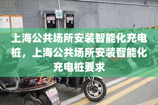 上海公共场所安装智能化充电桩，上海公共场所安装智能化充电桩要求