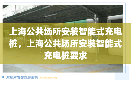 上海公共场所安装智能式充电桩，上海公共场所安装智能式充电桩要求