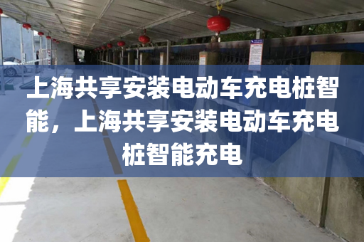 上海共享安装电动车充电桩智能，上海共享安装电动车充电桩智能充电