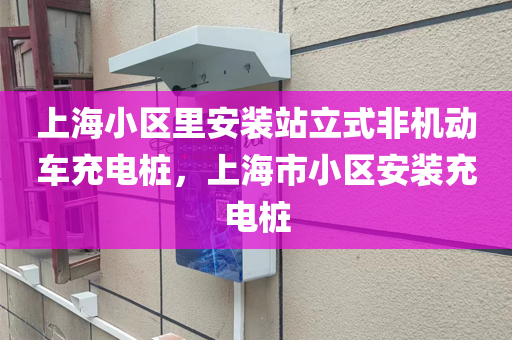 上海小区里安装站立式非机动车充电桩，上海市小区安装充电桩