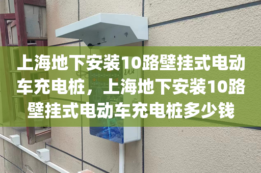上海地下安装10路壁挂式电动车充电桩，上海地下安装10路壁挂式电动车充电桩多少钱
