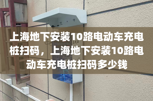 上海地下安装10路电动车充电桩扫码，上海地下安装10路电动车充电桩扫码多少钱