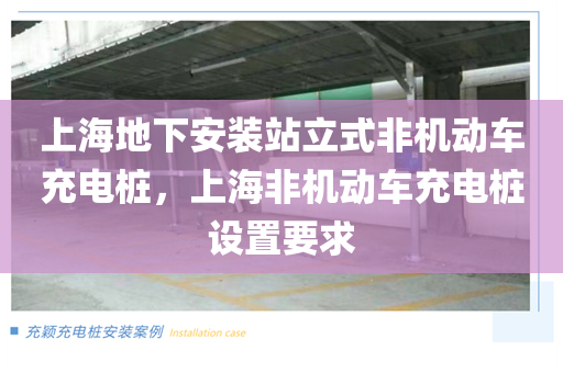 上海地下安装站立式非机动车充电桩，上海非机动车充电桩设置要求