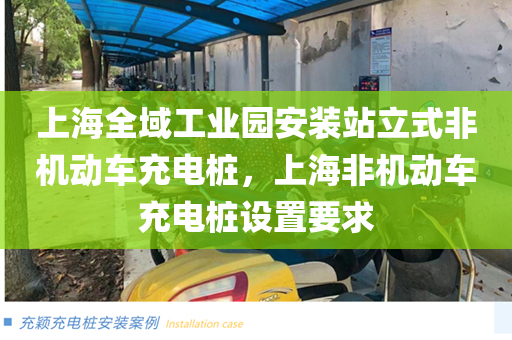 上海全域工业园安装站立式非机动车充电桩，上海非机动车充电桩设置要求