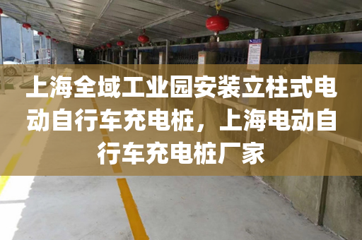 上海全域工业园安装立柱式电动自行车充电桩，上海电动自行车充电桩厂家
