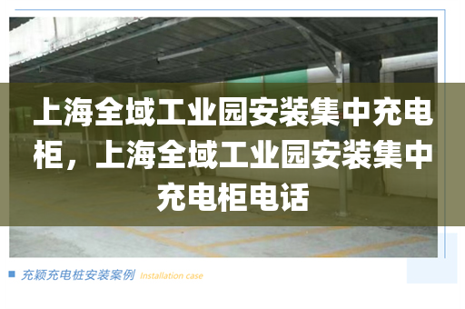 上海全域工业园安装集中充电柜，上海全域工业园安装集中充电柜电话