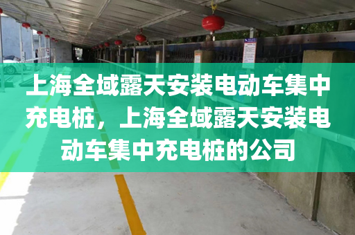 上海全域露天安装电动车集中充电桩，上海全域露天安装电动车集中充电桩的公司