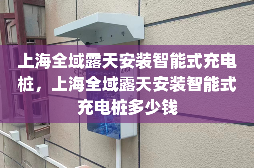 上海全域露天安装智能式充电桩，上海全域露天安装智能式充电桩多少钱