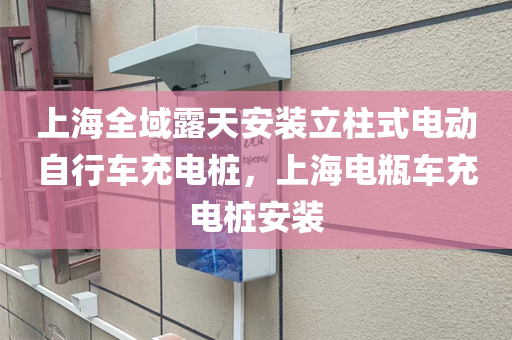 上海全域露天安装立柱式电动自行车充电桩，上海电瓶车充电桩安装