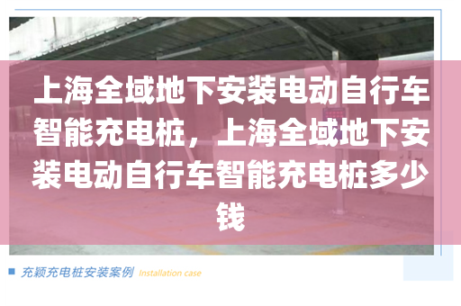 上海全域地下安装电动自行车智能充电桩，上海全域地下安装电动自行车智能充电桩多少钱